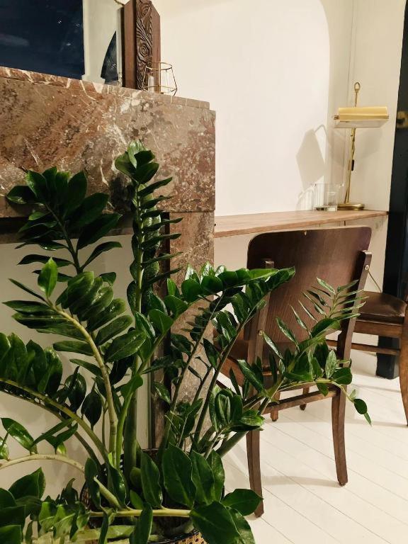 Aparthotel Living History - Suikernest Antwerpia Zewnętrze zdjęcie